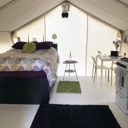 Готель Vines And Puppies Glamping Hideaway Jade City Екстер'єр фото