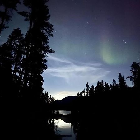 Готель Vines And Puppies Glamping Hideaway Jade City Екстер'єр фото