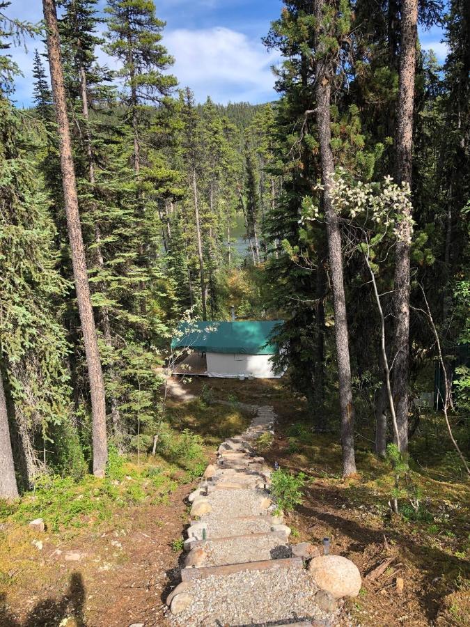 Готель Vines And Puppies Glamping Hideaway Jade City Екстер'єр фото
